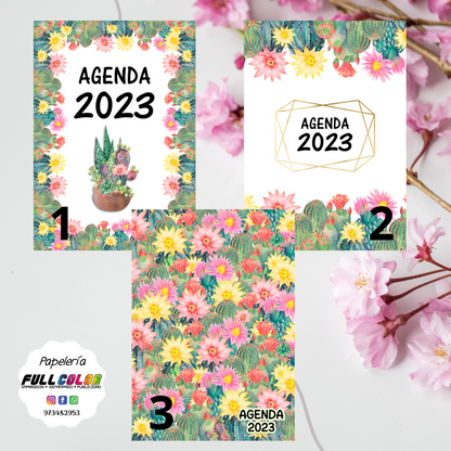 Agenda 2023 Cactus