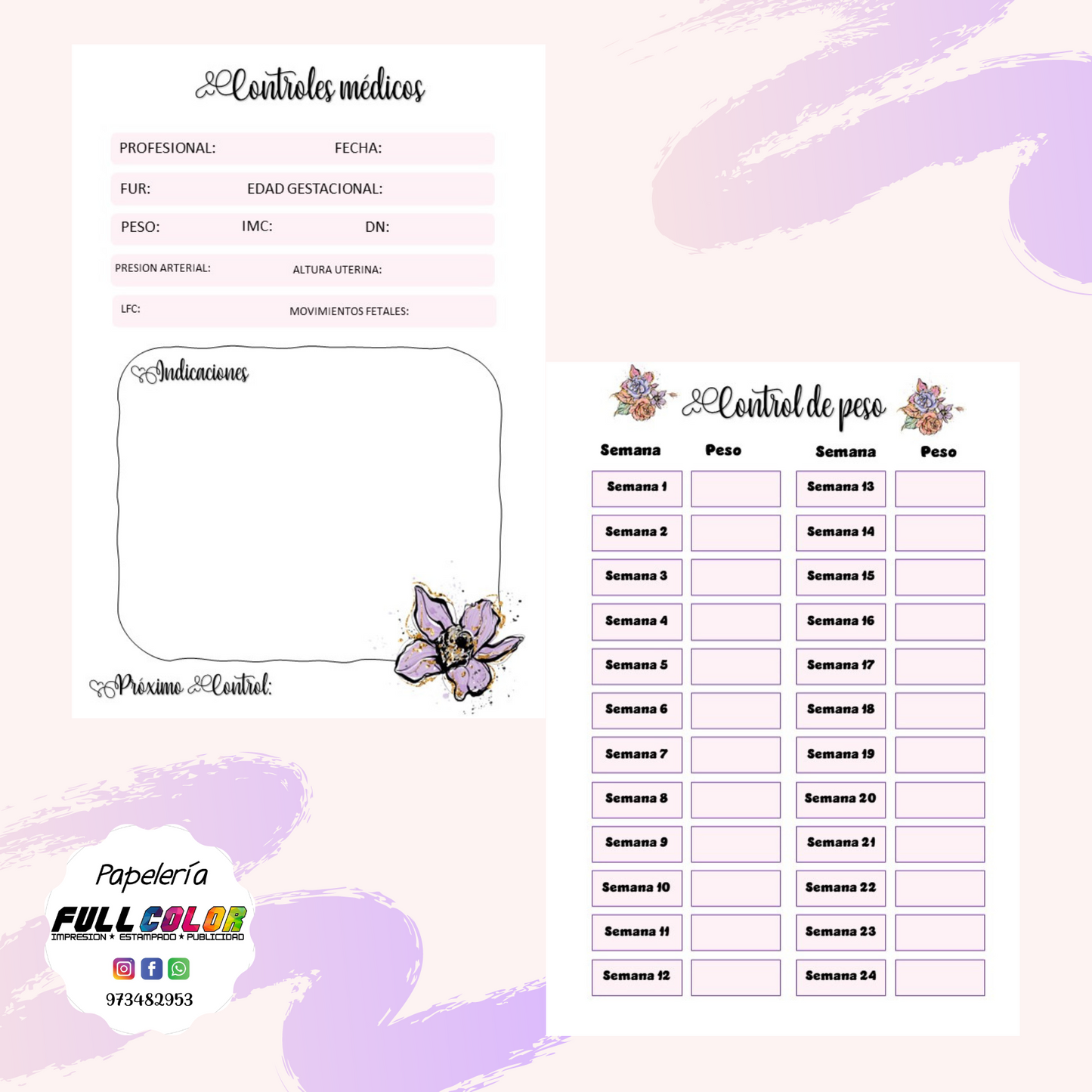 Agenda Prenatal Pastel