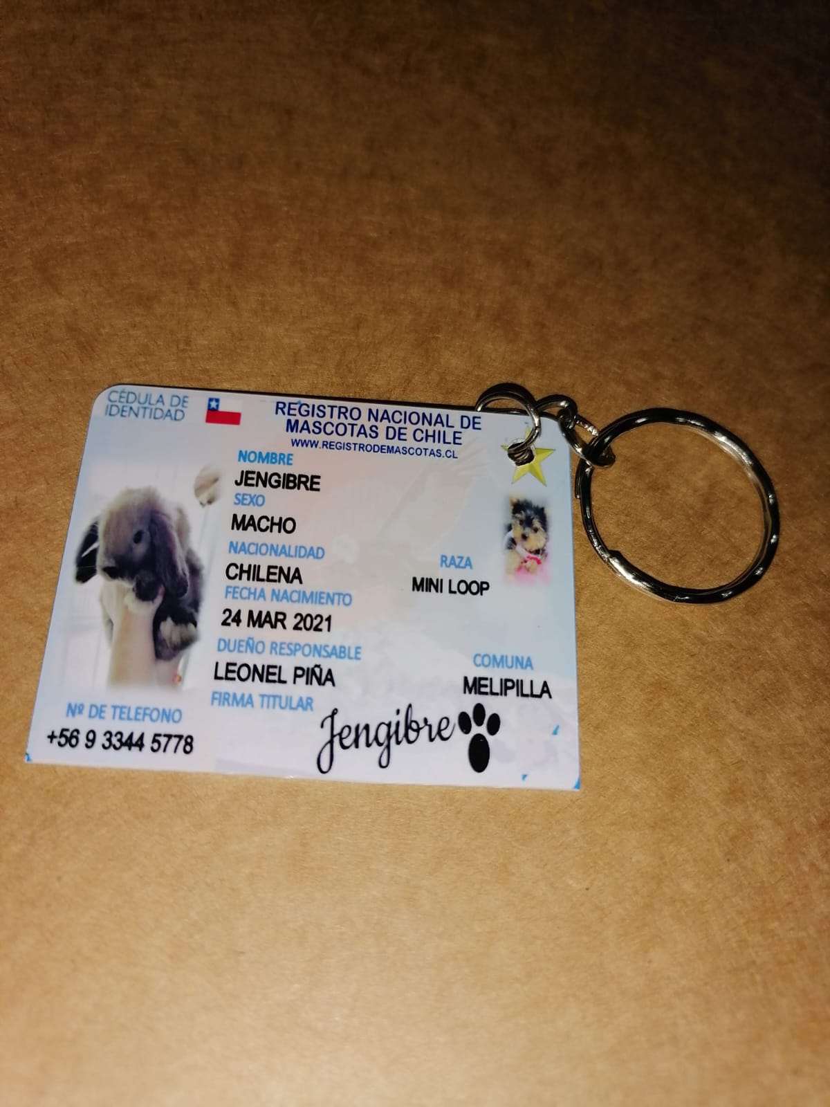 Carnet de Identidad + Plaquita